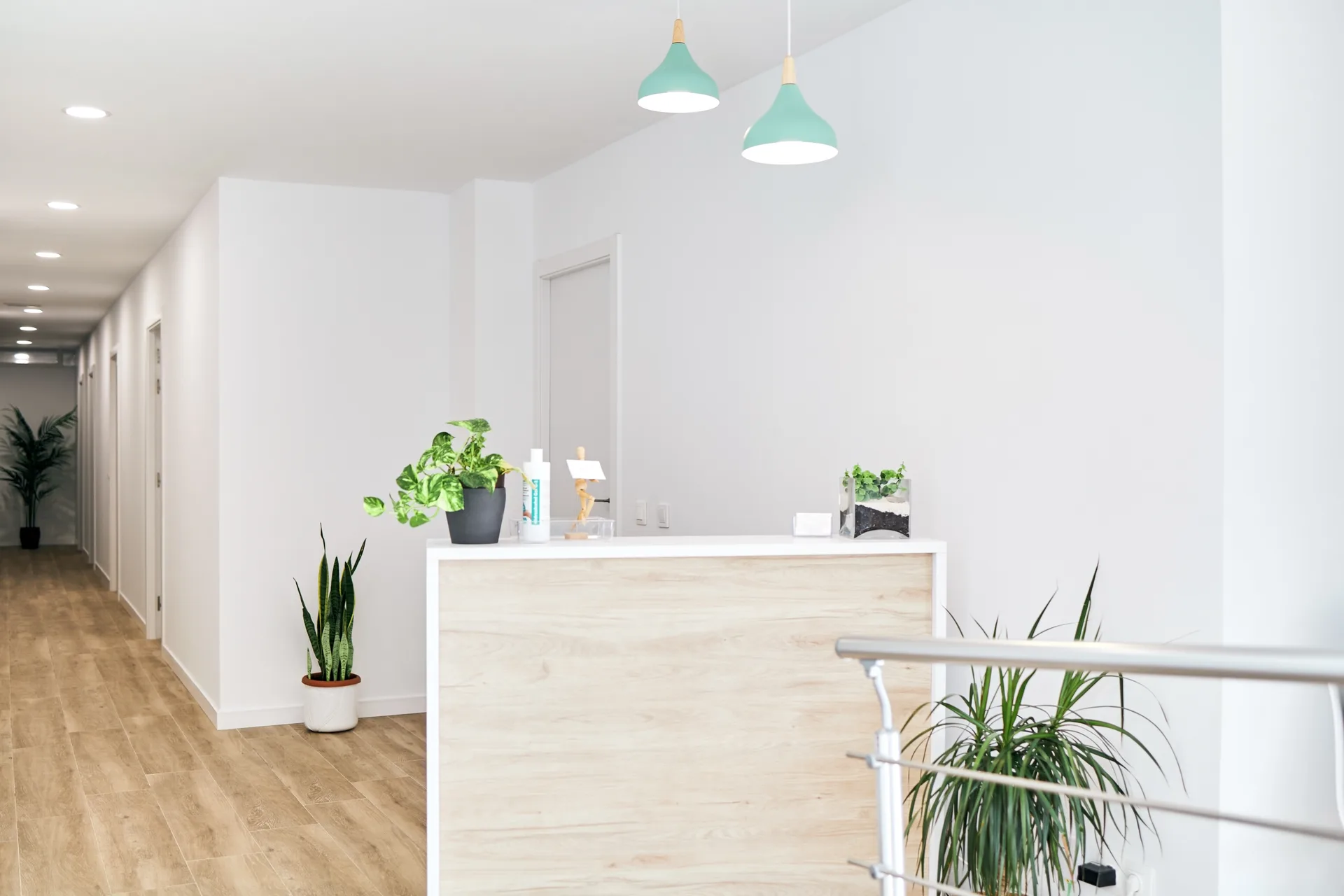 General plan of the reception area of a physiotherapy clinic